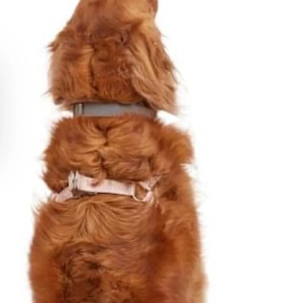 REDDY JACQUARD DOG HARNESS PINK LARGE